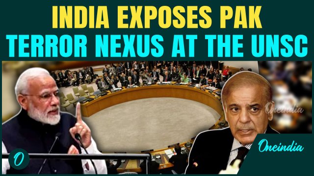 India SHREDS Pakistan at UNSC | Demands for Pak-backed TRF to Be Declared Global Terror Group
