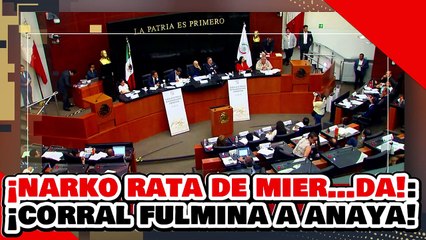 ¡NARKO RATA DE MIER…DA! ¡CORRAL FULMINA a ANAYA en HISTÓRICO DEBATE por LEY de TELECOMUNICACIONES!