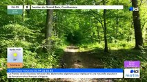 15/05/2025 - ici matin par ici Belfort Montbéliard en vidéo