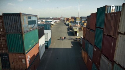 Der Amsterdam-Krimi: Die letzte Zeugin