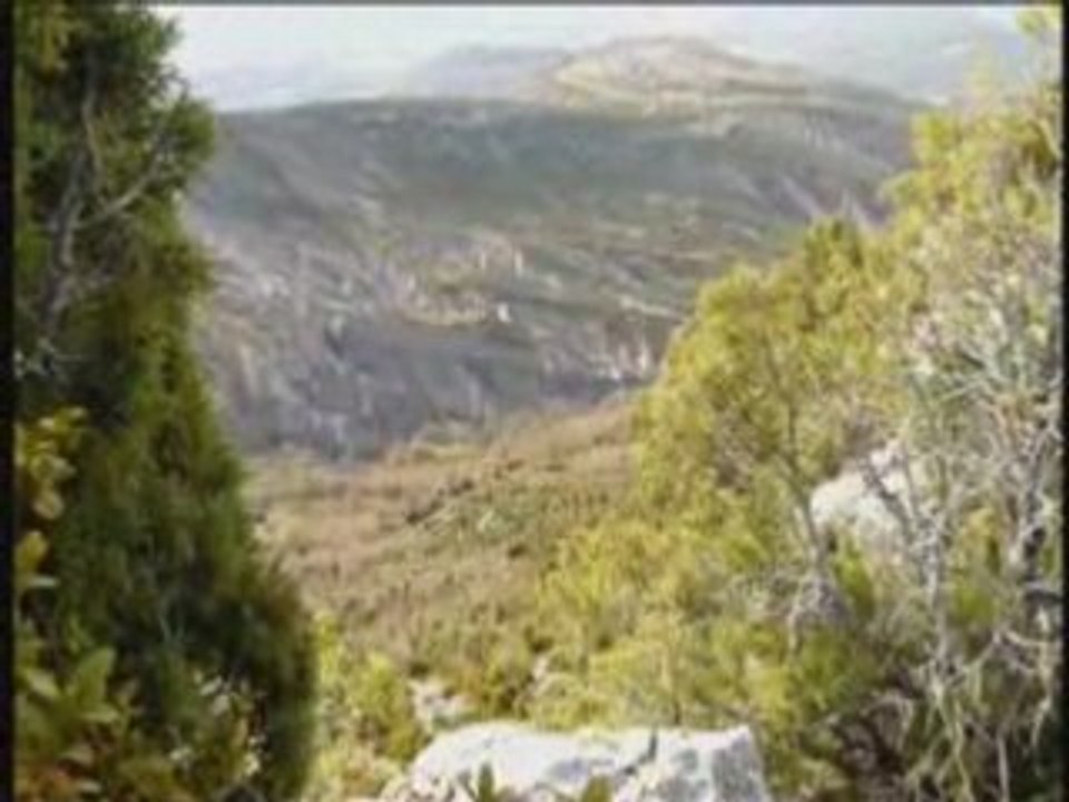 Vautours Aragon envol matin version Dvix