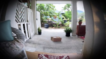 Lilo & Stitch | Tv Spot: Doorbell Camera