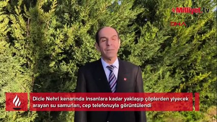 Nehir kıyısında gören inanamadı! 'Bazı sıkıntılı süreçler yaşıyor'