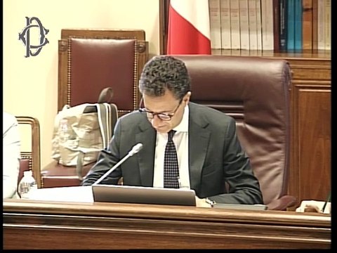 Roma -​ Accesso gruppi sportivi Forze armate soggetti affetti da diabete mellito tipo 1 - Audizione - Associazione nazionale italiana atleti diabetici (ANIAD) - Risoluzione 7-00266 (15.05.25)