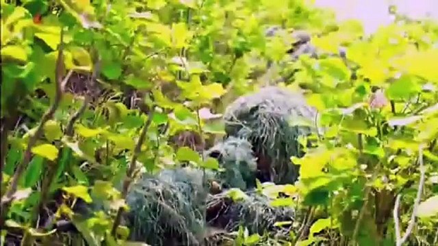 Estimado camarada Kim Jong Un observa exercícios táticos combinados por armas que são realizados como parte do curso da Conferência de Funcionários de Treinamento do EPC