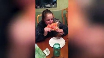 Cute and Funny Cat Videos to Keep You Smiling! 🐱