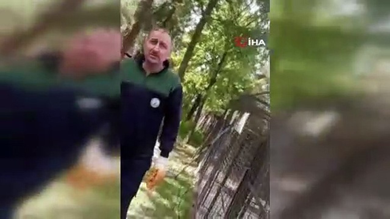 Vukuatlı belediyede bir hayvan katliamı daha: Onlarca hayvanI ilaçla öldürdüler!