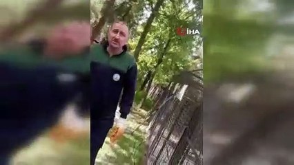 Vukuatlı belediyede bir hayvan katliamı daha: Onlarca hayvanI ilaçla öldürdüler!