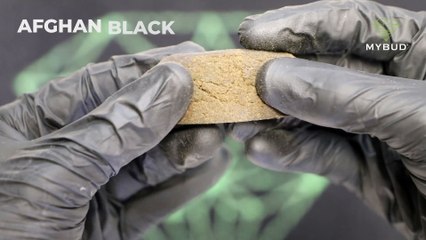 Résine de CBD Afghan Black - Sombre et Epicée