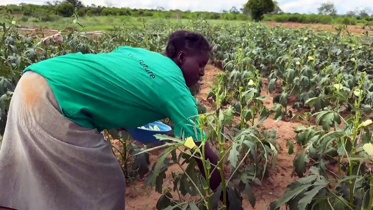 Can cash handouts replace aid? Kenya offers some answers