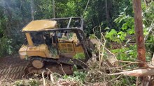 Oil Palm Land Opening Techniques Using D6R XL Bulldozer