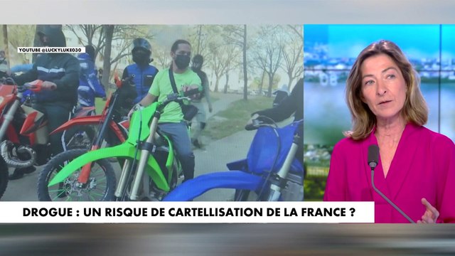 Céline Pina : «L'Etat est faible, il ne soutient sa police que du bout des doigts»