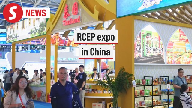 RCEP expo in central China boosts economic, trade cooperation