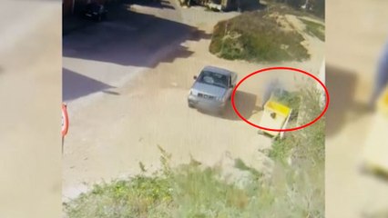 Denunciado por tirar cuatro cachorros de perro a un contenedor de basuras en Caspe (Zaragoza)