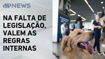 STJ autoriza recusa de animal de suporte emocional em voos
