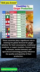 Top 10 countries in the world by ginger production #news #quotes