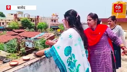 पक्षियों का जीवन बचाने आगे आया वर्किंग वूमेन्स का ग्रुप, वेस्ट से निकाला बेस्ट सॉलुशन