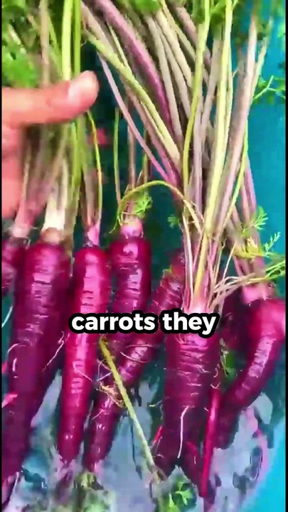 10 Amazing Facts About Food That Will Blow Your Mind #facts #shorts #foodfacts #foodie #ytshorts