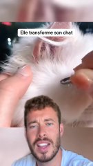 Vous en pensez quoi ?