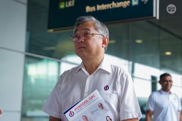 GE2025: DPM Gan promises to act on Punggol woes, from BTO defects to monkey invasions