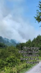 Five crews called to fight 15-hectare forest fire in Glaspwll