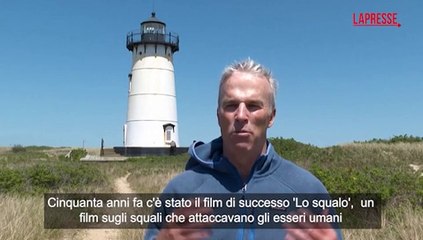 50 anni del film 'Lo squalo': impresa nuotatore a Martha's Vineyard per sensibilizzare nuove generazioni
