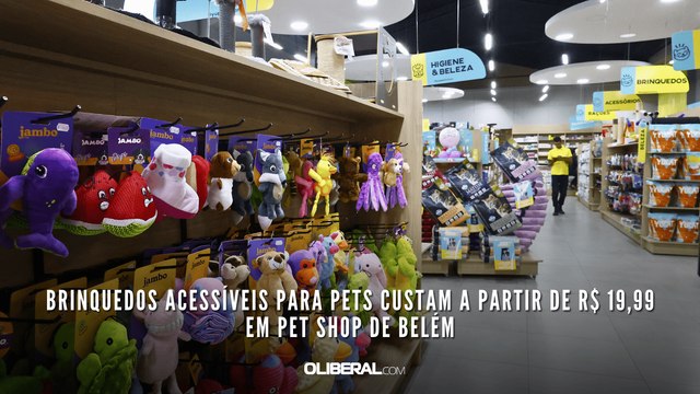 Brinquedos acessíveis para pets custam a partir de R$ 19,99 em pet shop de Belém