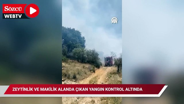 Zeytinlik ve makilik alanda çıkan yangın kontrol altında