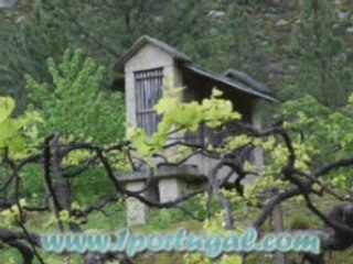 Mondim de Basto - Portugal - avril 2008 - N.2