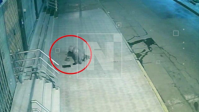 ¡Ladrón de medidores! Delincuente es captado ‘haciendo de las suyas’ en la avenida Suecia de Cochabamba