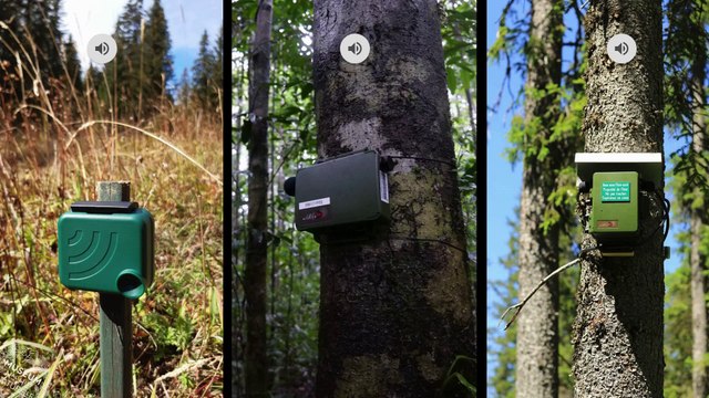 Conférence - Jérôme sueur - Chercheur en éco-acoustique au Muséum national d'histoire naturel - 20 mars 2025 - Campus agroenvironnemental du Pas-de-Calais