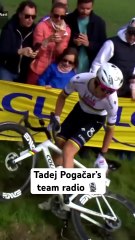 “Still possible!” Inside Pogi’s Roubaix 🎙️ #shorts #cycling
