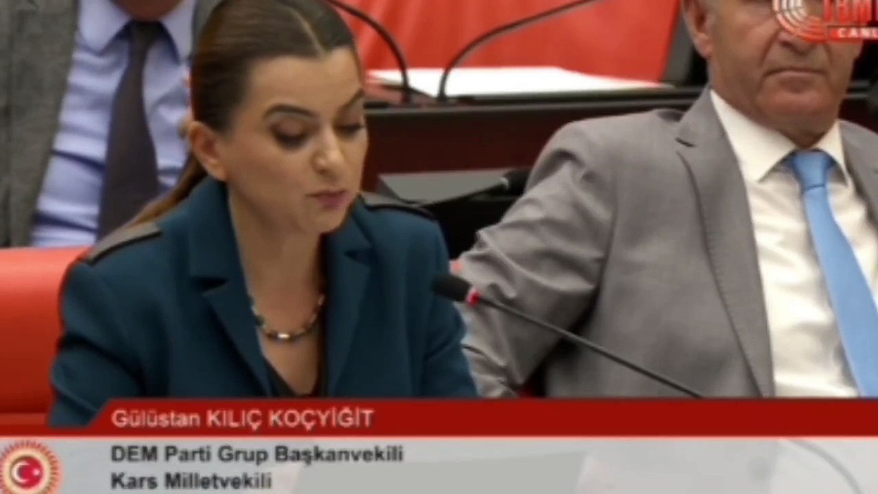 DEM Partili Koçyiğit Meclis'te Kürtçe konuştu; MHP’li Adan mikrofonu kapattı