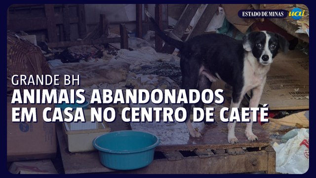 ONG cuida de animais abandonados em casa no centro de Caeté