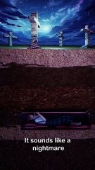 What If You Wake Up Inside a Coffin? #buriedalive #whatif #coffindance #breakingnews #creepyfacts