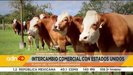 La importancia del intercambio ganadero con Estados Unidos