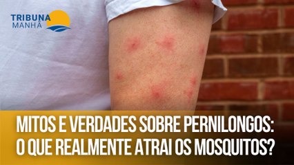 Mitos e verdades sobre pernilongos: o que realmente atrai os mosquitos?