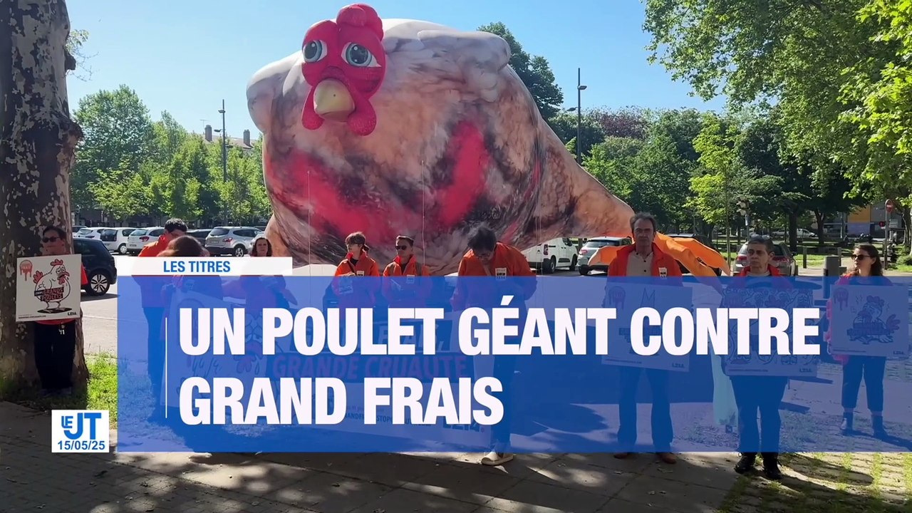 Un poulet géant installé par l'association L214 / Les Stéphanois partagent leurs idées pour repenser les places du centre-ville / Un groupe de parole aide les futurs pères à préparer l'arrivée de leur enfant / Des passionnés de pêche à l'aimant dépolluent