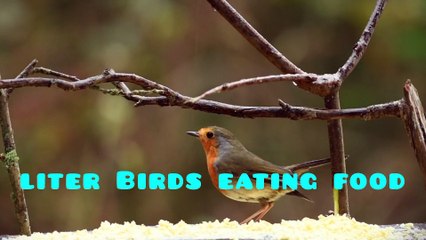 Amo la natura. Amo moltissimo gli animali e sono vegetariano. Sono un'appassionato