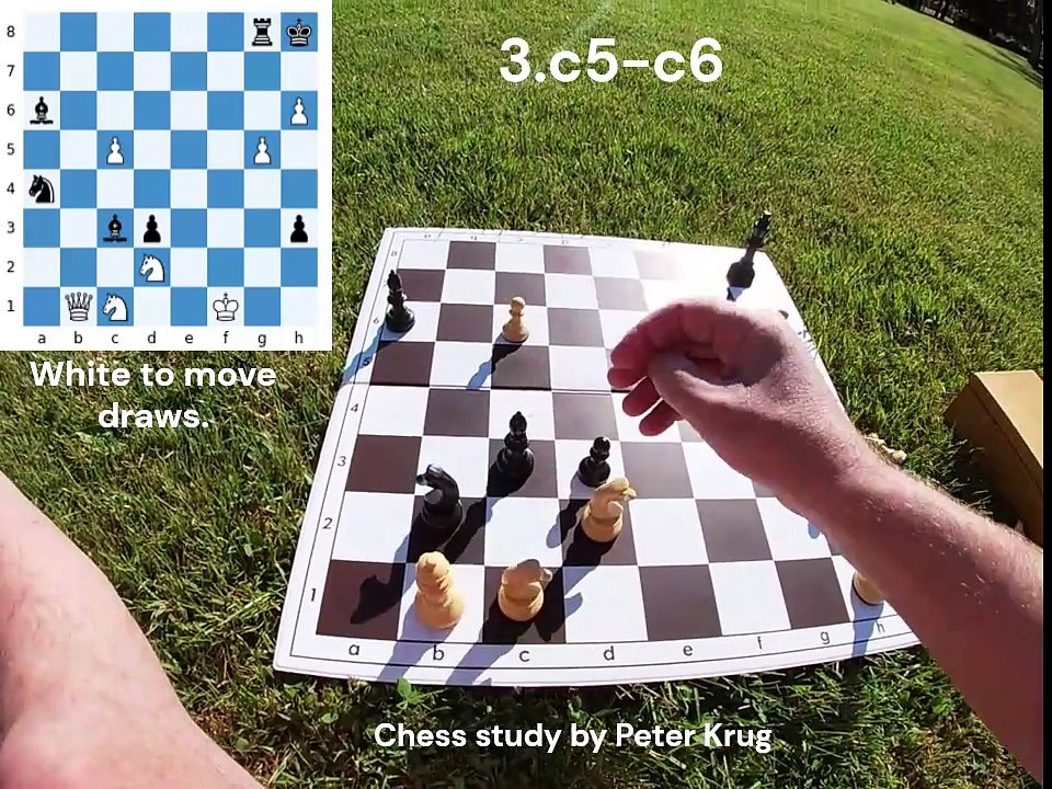Chess study with 2 main variation – by Peter Krug