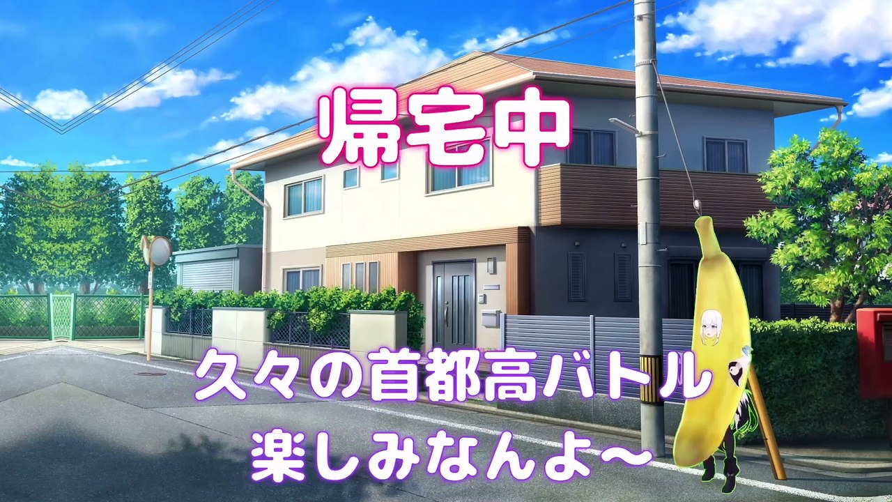 【しらかミーム】ニコたんが初めての首都高バトルでやはり当たり屋として覚醒してしまう話【ホロライブ】 #hololive #ホロライブ #shirakameme #虎金妃笑虎