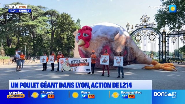 Lyon: un poulet géant installé devant le parc de la Tête d'Or par L214