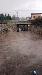 Momenti di paura nelle zone della Sicilia colpite da violenti nubifragi: a #Trabia (PA) (15.05.25)