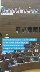 Tensión en las Cortes Valencianas por la 'ley trans'