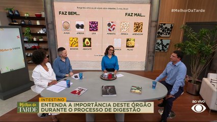 INTESTINO: como a alimentação contribui com a saúde do órgão