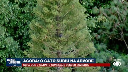 GCM busca por criminosos em Itaquaquecetuba, SP