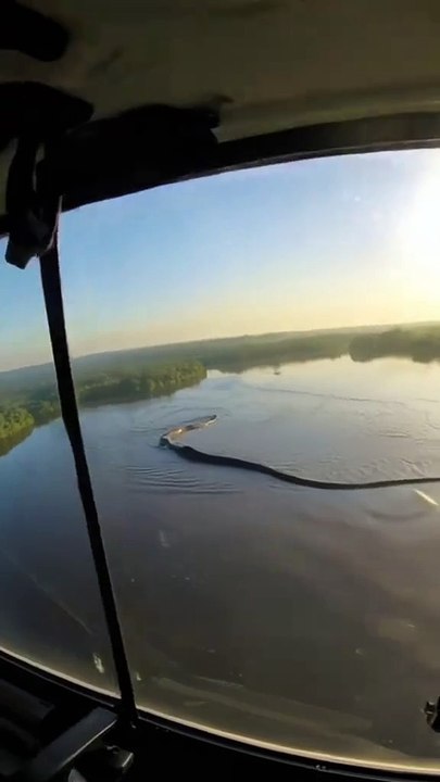 Un video viral muestra una anaconda gigante deslizándose por el río Amazonas. ¿Es real o una creación digital? Mirala.