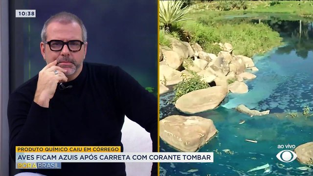 Tombamento de carreta com corante deixa patos e gansos azuis