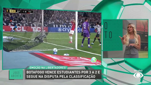 Edu Dracena cobra torcida do Botafogo após vitória na Libertadores: Tem que jogar junto