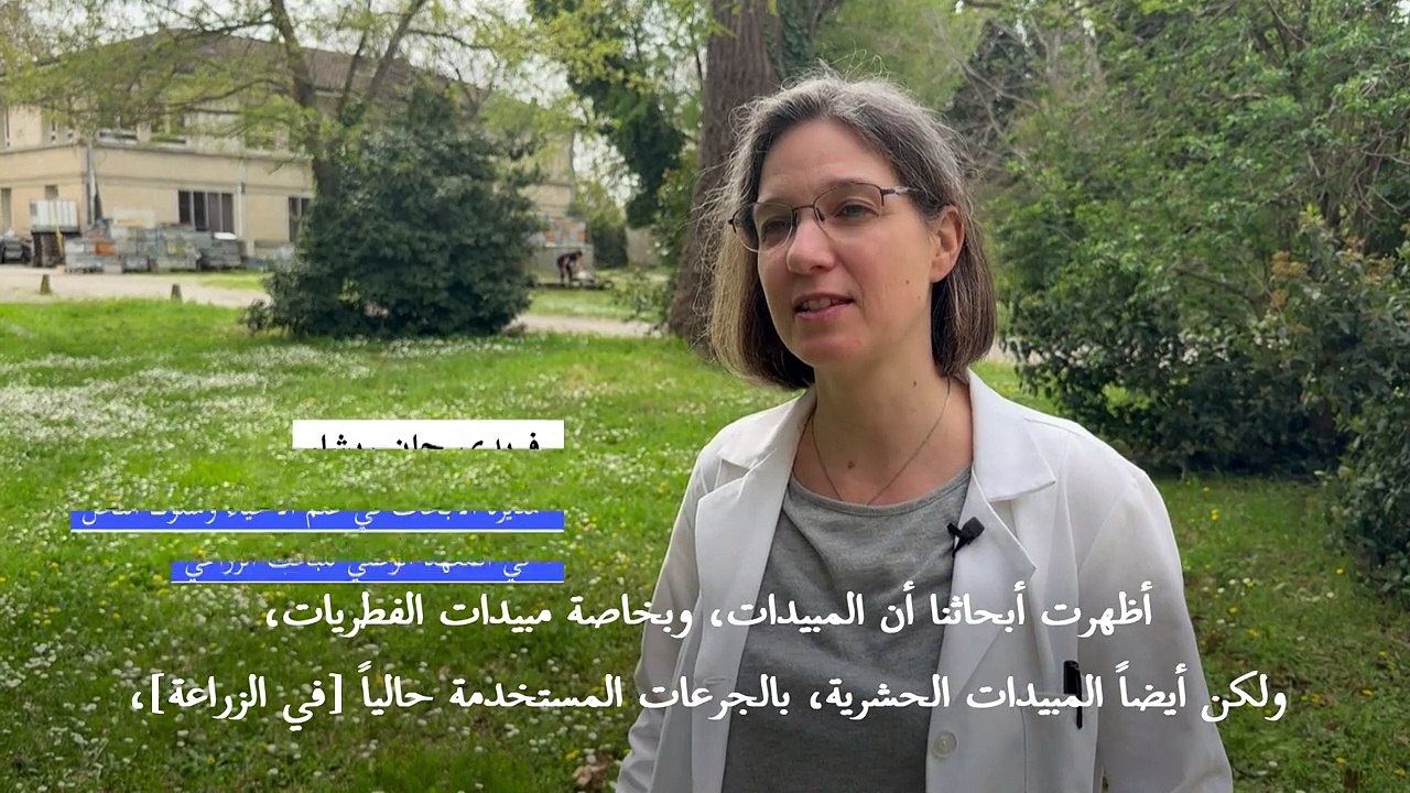 علماء فرنسيون يحللون تأثير مبيدات حشرية على النحل قبل تشريع محتمل لاستخدامها